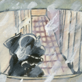 Thumbnail for version as of 04:29, 6 August 2026